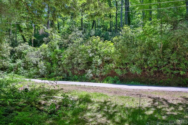 LOT16A N Cobb Rd, Highlands, NC 28741 - photo 8