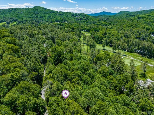 LOT16A N Cobb Rd, Highlands, NC 28741 - photo 14