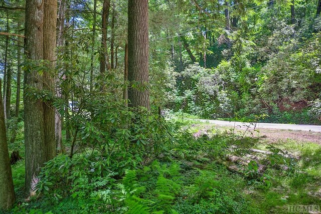 LOT16A N Cobb Rd, Highlands, NC 28741 - photo 7