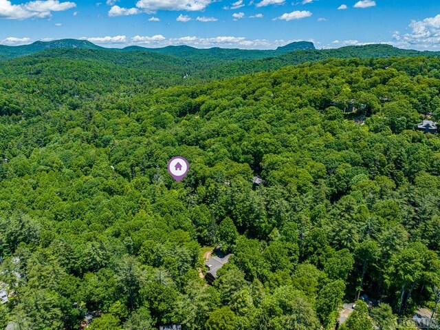 LOT16A N Cobb Rd, Highlands, NC 28741 - photo 18