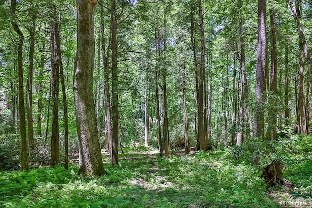 LOT16A N Cobb Rd, Highlands, NC 28741 - photo 11