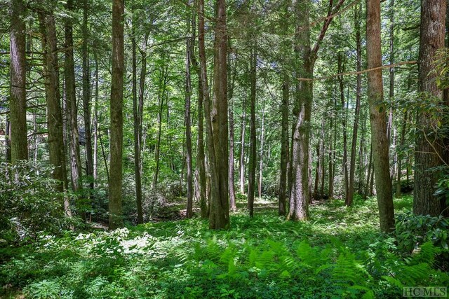 LOT16A N Cobb Rd, Highlands, NC 28741 - photo 4