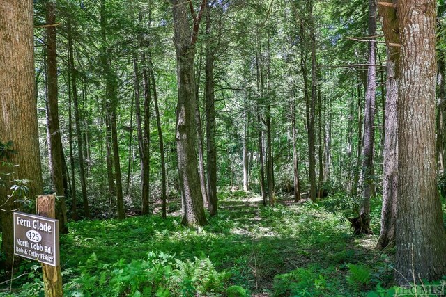 LOT16A N Cobb Rd, Highlands, NC 28741 - photo 10