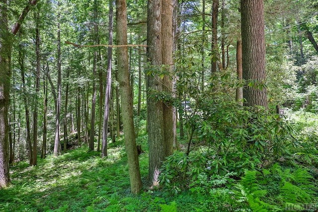 LOT16A N Cobb Rd, Highlands, NC 28741 - photo 6