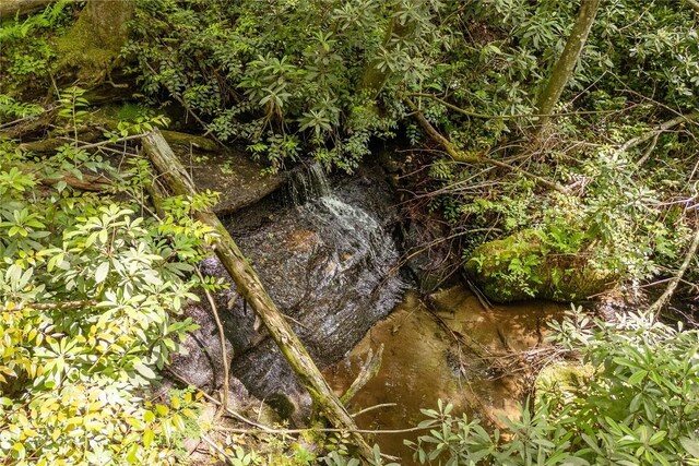 47 Red Bud Ct, Sapphire, NC 28774 - view of undeveloped land
