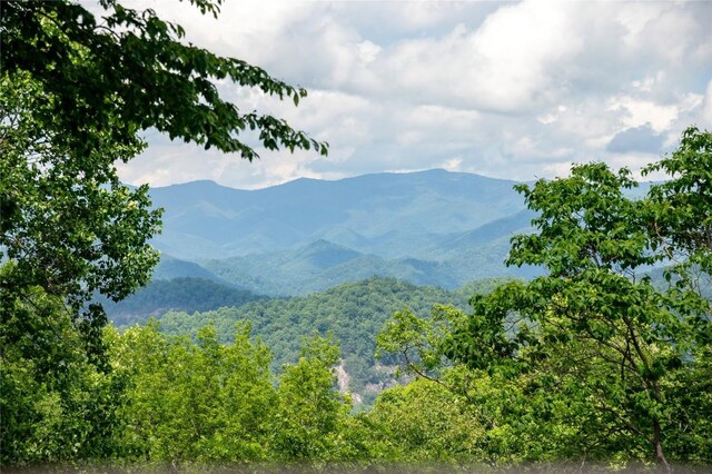 964 Bridgestone Dr, Glenville, NC 28736 - photo 81