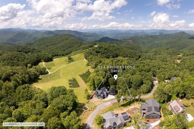 964 Bridgestone Dr, Glenville, NC 28736 - photo 93