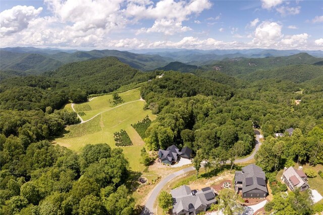 964 Bridgestone Dr, Glenville, NC 28736 - photo 94