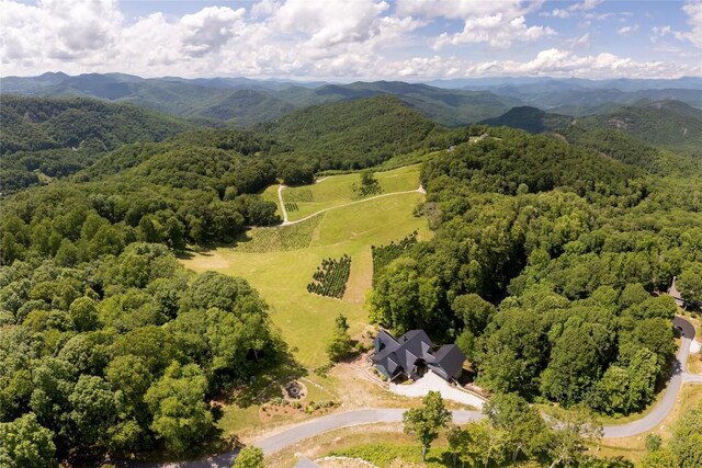 964 Bridgestone Dr, Glenville, NC 28736 - photo 92