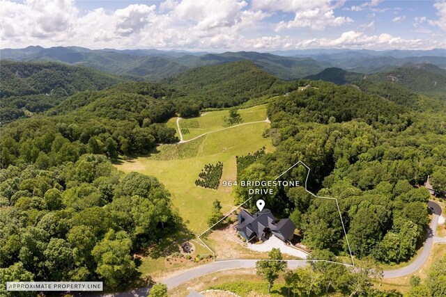 964 Bridgestone Dr, Glenville, NC 28736 - photo 91