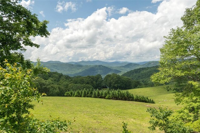 964 Bridgestone Dr, Glenville, NC 28736 - photo 79