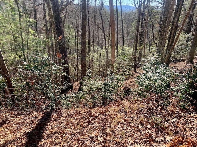 TBD Oak Laurel Dr, Brevard NC, 28712 land for sale