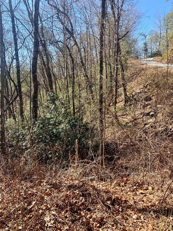 Listing photo 2 for TBD Oak Laurel Dr, Brevard NC 28712