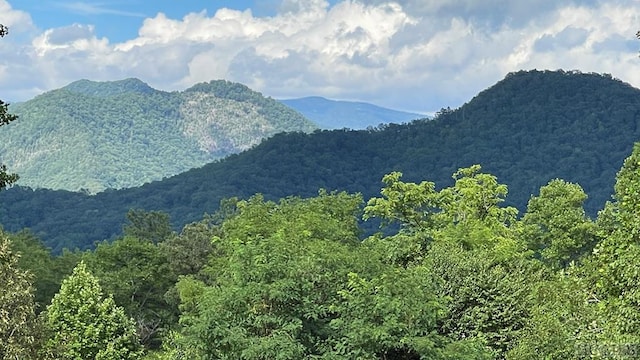 TRCT2 Moody Bridge Rd, Cullowhee NC, 28723 land for sale