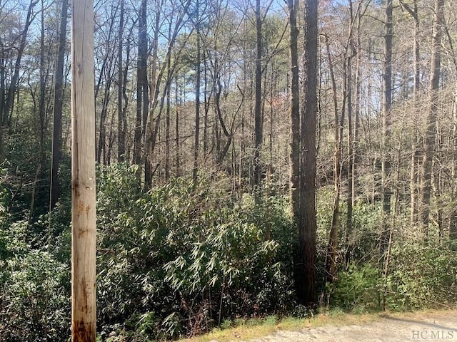 22 Double Creek Dr, Brevard NC, 28712 land for sale