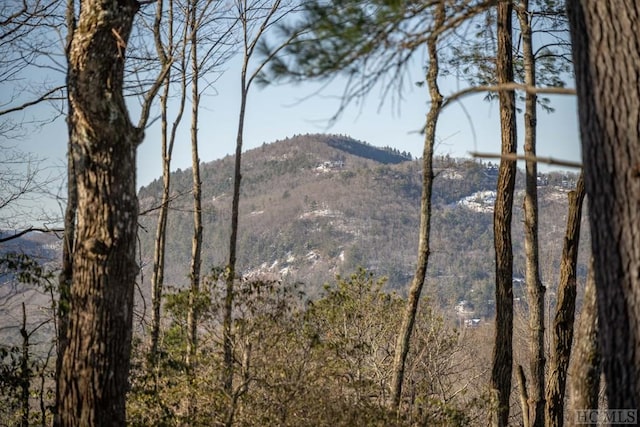 view of mountain feature