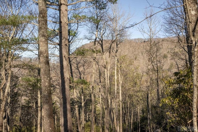 view of local wilderness