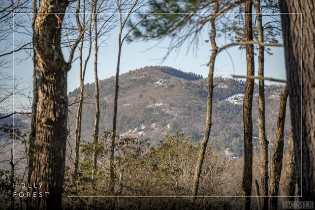 property view of mountains