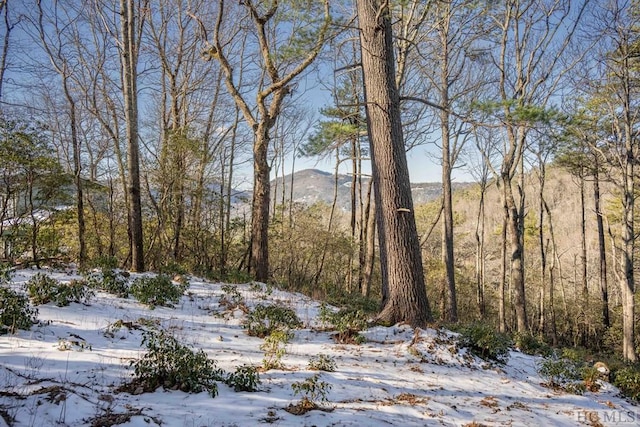 snowy landscape with a mountain view