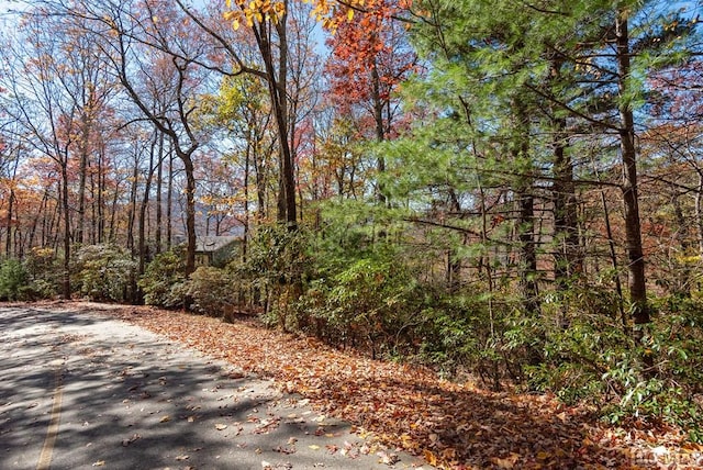 view of road