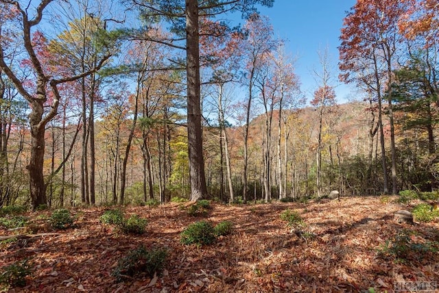 view of local wilderness