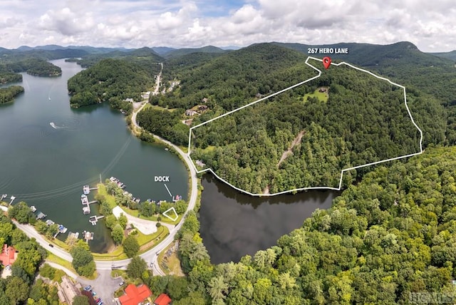 drone / aerial view featuring a water and mountain view