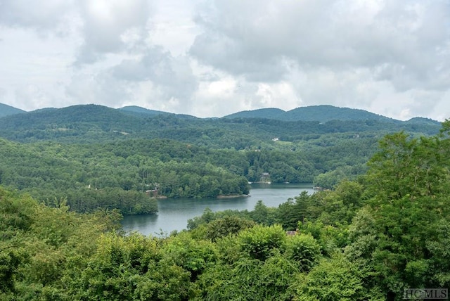 property view of mountains featuring a water view