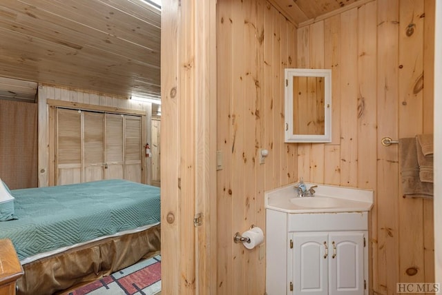 interior space with sink, wooden walls, wooden ceiling, and a closet