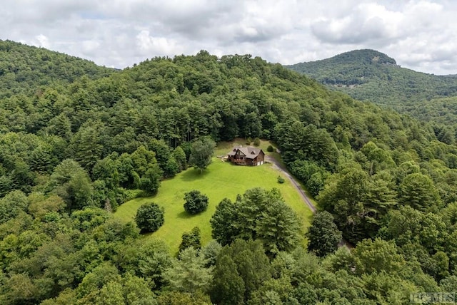 drone / aerial view with a mountain view