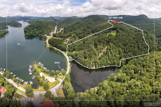 bird's eye view with a water and mountain view