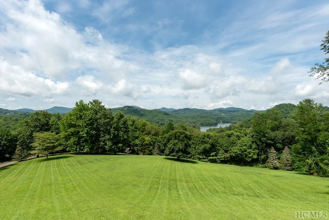 view of yard with a mountain view