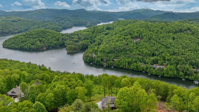 15 Channel View Dr, Cullowhee, NC 28723 - aerial view of a forest and a water and mountain view