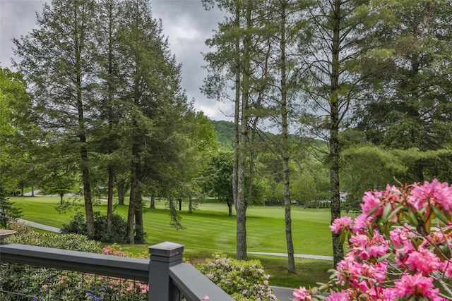 226 Sky Lake Dr, Highlands, NC 28741 - surrounding community with a yard