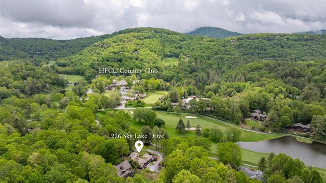 226 Sky Lake Dr, Highlands, NC 28741 - photo 53