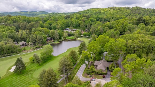 226 Sky Lake Dr, Highlands, NC 28741 - bird's eye view of a large body of water, a forest, and a local golf course