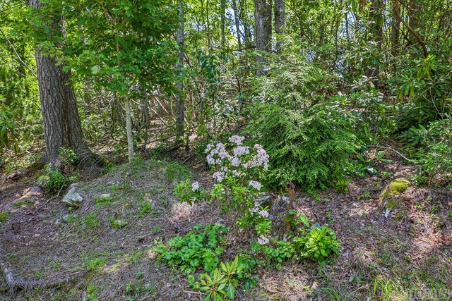 Listing photo 3 for LOT1 Big Bear Pen Rd, Highlands NC 28741