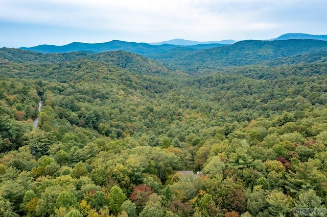 view of mountain feature