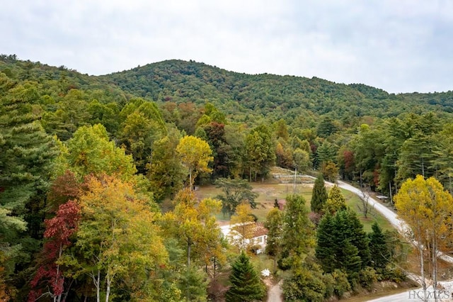 property view of mountains