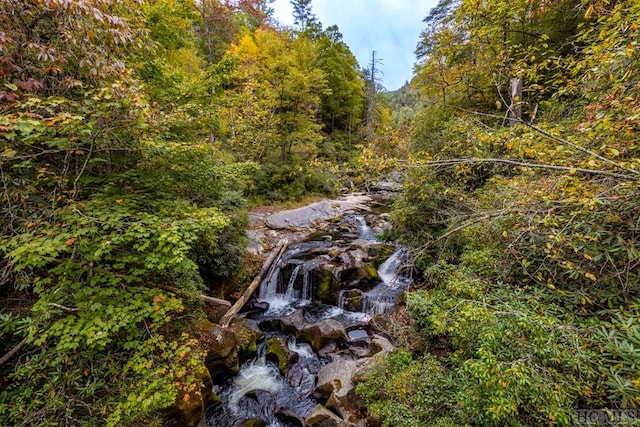 view of nature