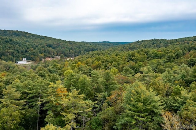 view of mountain feature