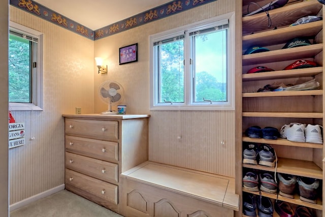 70 Fairway Ln, Sky Valley, GA 30537 - walk in closet featuring carpet floors