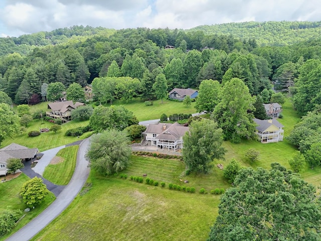 70 Fairway Ln, Sky Valley, GA 30537 - drone / aerial view of a forest