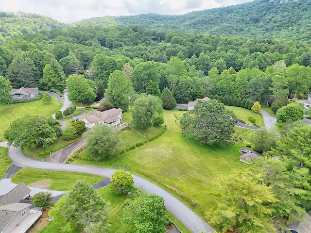 70 Fairway Ln, Sky Valley, GA 30537 - aerial view of a forest