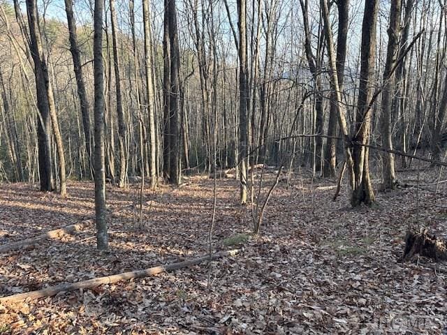 Listing photo 3 for LOT20 Rock Creek Ct, Sapphire NC 28774