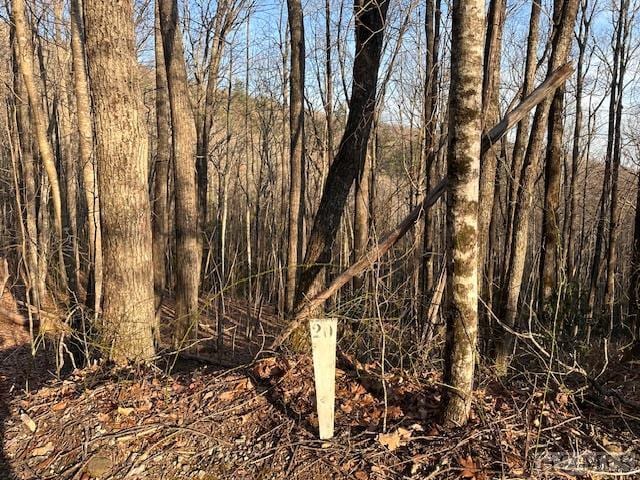 LOT20 Rock Creek Ct, Sapphire NC, 28774 land for sale