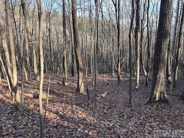 Listing photo 2 for LOT20 Rock Creek Ct, Sapphire NC 28774