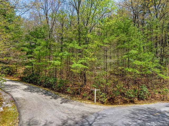 LOT16 Mountain View Rd, Lake Toxaway NC, 28747 land for sale