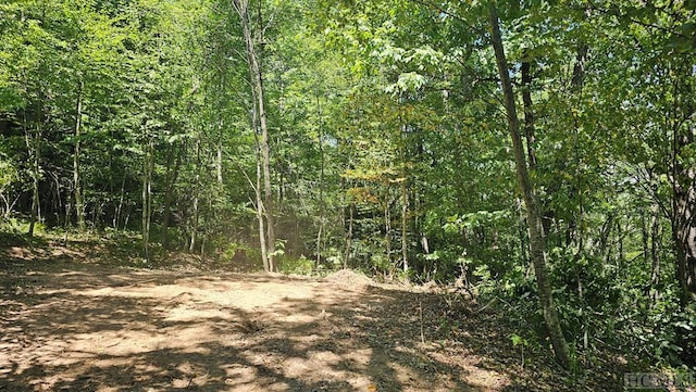 0 Eastside Duck Mountain Rd, Scaly Mountain NC, 28775 land for sale