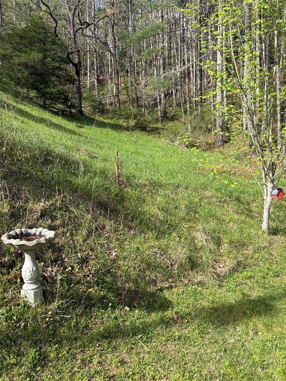 210 Triple Fork Rd, Cullowhee, NC 28723 - view of yard