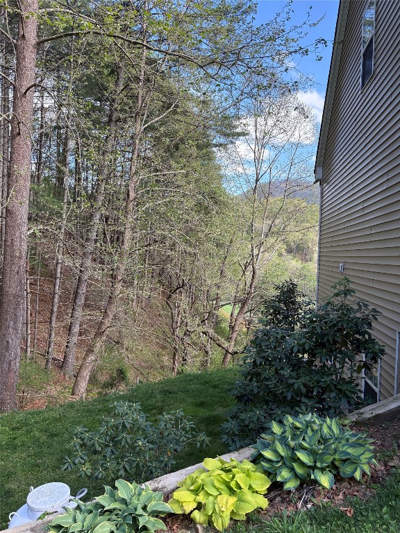 210 Triple Fork Rd, Cullowhee, NC 28723 - view of yard